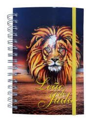 Agenda permanente  le�o colorido 18x14