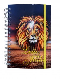 Agenda permanente  le�o colorido 18x14